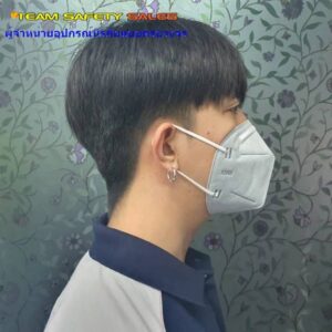 หน้ากาก N95